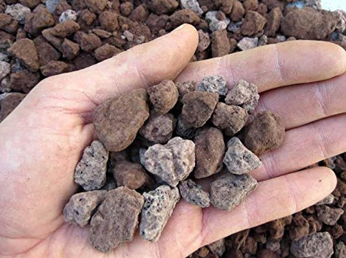 GEOSISM & NATURE - Lapillo vulcanico rosso, 100% naturale, per giardinaggio, drenaggio, pacciamatura, vasi e terrari (10/16 mm, Singolo - 11 lt)