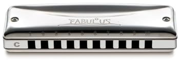 Suzuki F-20E-C Fabulous Diatonic Harmonica in C, Silver, 2.0 in*12.0 in*12.0 in