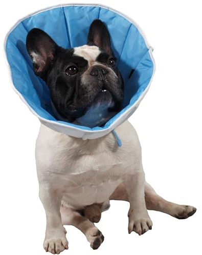 Post-operativen Kragen/ kegel für Hund, Katze oder Kaninchen 5(XXL) Kopfumfang:44-50cm, Höhe: 25cm