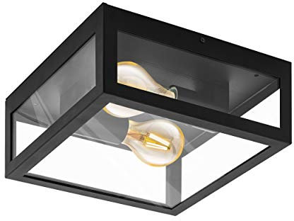 Eglo Lámpara exterior de techo ALAMONTE 1, lámpara exterior con 2 bombillas, lámpara de techo de acero galvanizado, color negro, vidrio transparente, versión E27, IP44