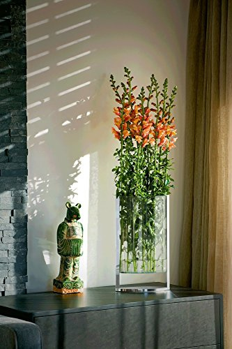 PHILIPPI - Decade Vase L - Klassiker Blumen schweben über dem Tisch - Zeitlos und Elegant