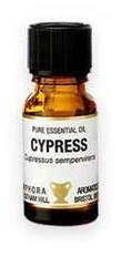 Cypress Pure Essential Oil 10ml in amber glass bottle by Amphora Aromatics