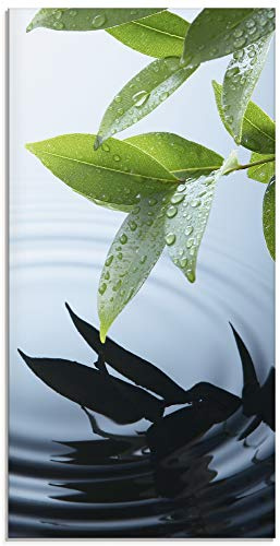 ARTland Wanddeko Glasbilder Wandbild Glas Bild einteilig 30x60 cm Hochformat Natur See Pflanzen Wasser Baum Blätter Wassertropfen T5VV