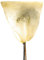 Bio Green Sacco di Protezione Invernale per Piante, Beige