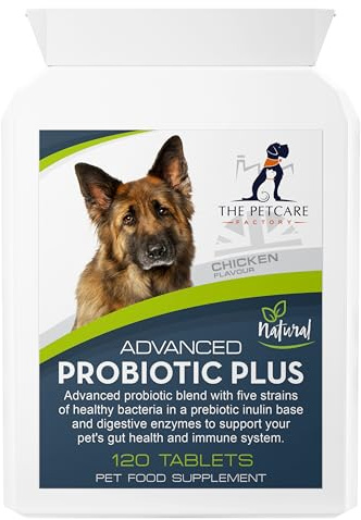 The Petcare Factory Advanced Probiotic Plus for Dogs, 120 Tablets, UK Made | Five probiotic strains delivering 2 billion CFU per tablet, with prebiotic inulin and blend of 6 digestive enzymes.