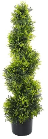 Cypress Spiral Tree 90cm