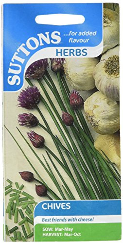 Suttons Seeds 164596 Chives Herb Seed