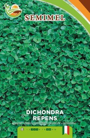 Dichondra Repens - Semi di Prato Resistente alla Siccità e All'Ombreggiamento, Bassa Manutenzione, 1 lb 2 confezioni