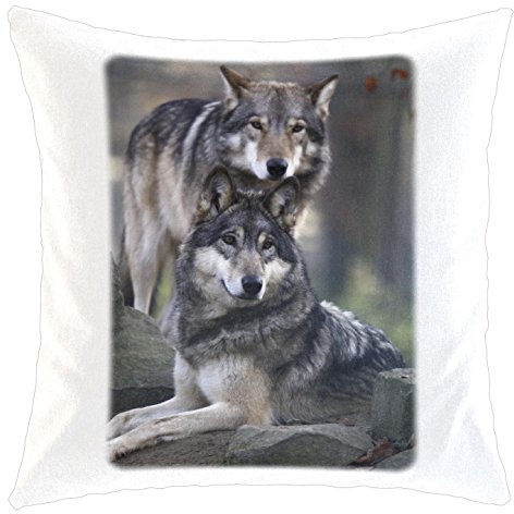 Kissen/weiches Kuschelkissen mit Füllung 40x40cm - Motiv: Wolf Grauwolf zwei Tiere nebeneinander| 008