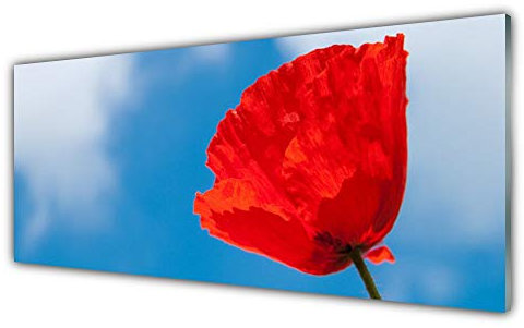 Tulup Acrylic Glass Print 125x50cm Wall Art - Wall Picture Plastic Acrylic Glass - Tulip Floral