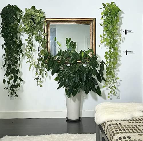 Easy Grow Seeds Houseplant Wall Hanger 4 Diameter Plant Pot Holder For Indoor House Plant or Outdoor Plants (1)