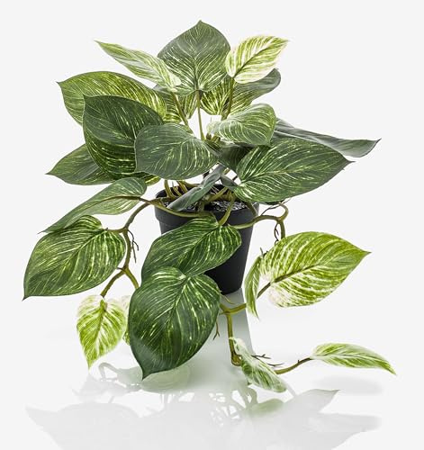 artplants.de Pothos Artificiel Treva, Vert-Blanc, 55cm - Plante Verte Artificielle