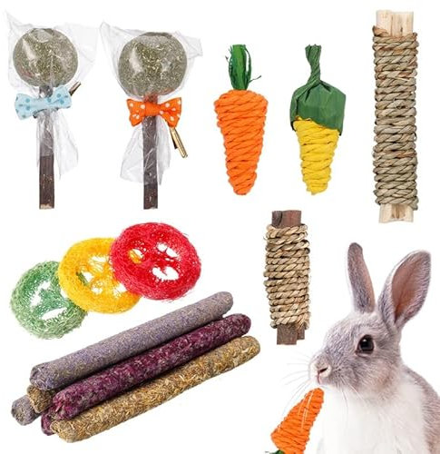 Fuyamp Jouets à Mâcher pour Lapin et Petits Animaux - Accessoires pour Cochon d'Inde, Hamster, Chinchilla, Gerbille - 15 Pièces