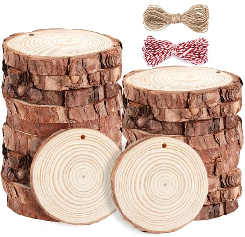 Wood Slices - 16Pcs Natural Wood Discs, 9-10CM Wooden Slices for Crafts, Predrilled Log Slices Unfinished Wooden Circles with Hole and 2 Ropes for DIY Wedding Ornaments Coasters Decorations Christmas