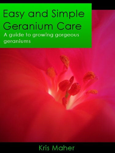 Easy and Simple Geranium Care - A Guide to Growing Gorgeous Geraniums