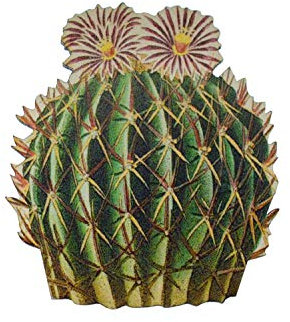 Broche de du désert de fleurs Miniblings Texas Western 2 - bijoux à la mode à la main I Pin Bouton Pins