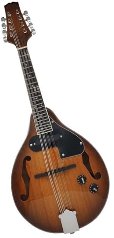 KWETVSH Mandolins Instrument for Beginner Mandolin Electric Eight-string Mandolin Solid Wood Plug-in Guitar Mandolin(A-Coffee)