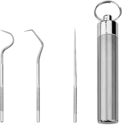 2PCS Stainless Steel Toothpicks Reusable Cleaning Tooth Hook Metal Toothpicks with Holder with Keychain Box for Outdoor Picnic Camping Traveling Supplies