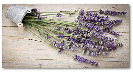 Tulup Leinwandbild - Wandkunst - Drucke auf Leinwand - Leinwanddruck -100x50 cm - Blumen & Pflanzen - Lila - Lavendel in Topf