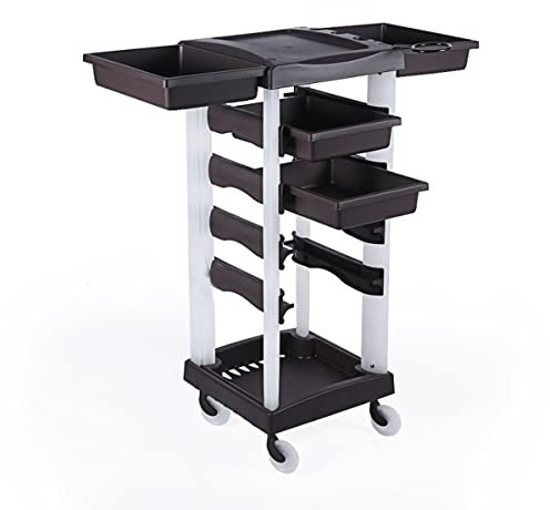 Friseurwagen Retro Salon Lagerwagen,Gold mit Fönhalter Friseur Barbier Schönheit Rollwagen Mit 5 Schubladen Salon Trolleys Haare Spa Ablagefach 37X37X89CM