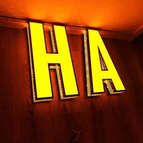 JOJOGERY Custom Business Sign Lighted Letters for Storefront Signage - Illuminated Stainless Steel LED Letters with Eye-Catching design and Easy Install Template (Custom light, 11 letters)