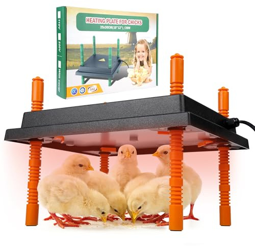 Plaque Chauffante Poussins 25x30cm Réglable en Hauteur 25W Économique – Éleveuse Électrique, Plus Économe qu’une Lampe Chauffante Poussins, Chaleur Douce Type Poule pour Poussins Canetons Cailles