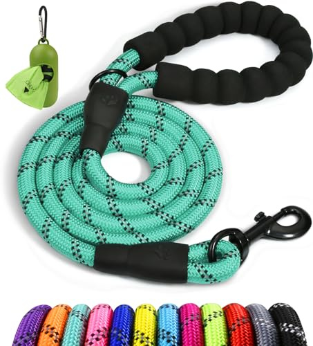 Taglory Laisse Chien Corde réfléchissants pour Chiens de Moyenne Grande | Ultra-Résistante Grade Escalade Ø 1,0 cm, Pour Chien Petite et Moyen, Prise en Main Douce Sans Brûlure, Balade et Dressage