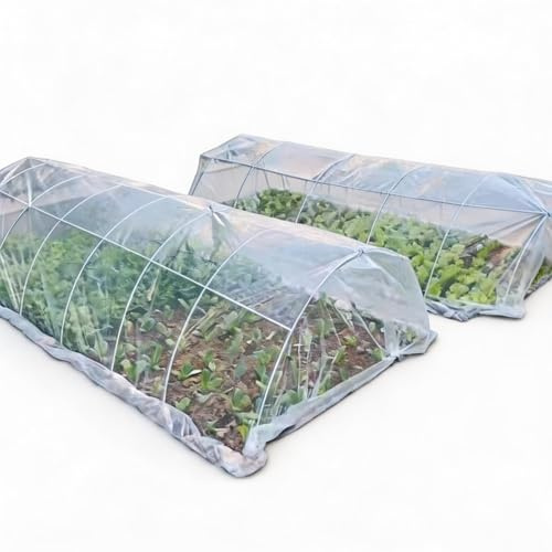 Genérico Invernadero,Resistente a Desgarros Transparente y Alta Resistencia 2 x 10 m,Lámina para Invernadero de Jardinería y Agricultura | para Agricultura, Pintura, Suelos, Fincas, Invierno y