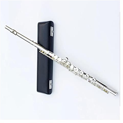 Offenes Loch Querflöte Offset G Tiefer H-Fuß Kopfstück Aus Massivem Silber Sterling Silber Korpus Versilbertes Neusilber Anfängerflöte Flöteninstrument