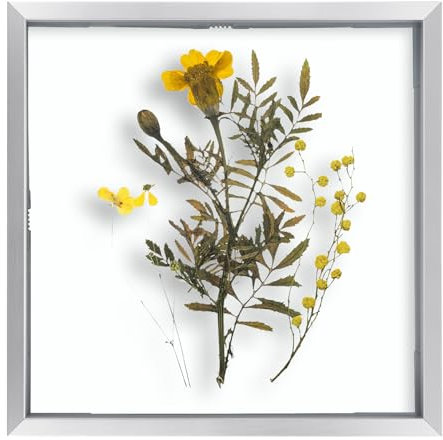 Frametory, Schwebender Bilderrahmen, Aluminium, 20,3 x 20,3 cm, Silberfarben, Echtglas der Vorderseite, für Wandmontage