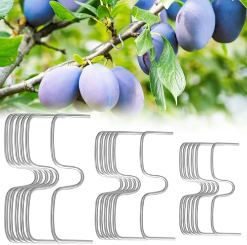 UHETLET 30 Pièces Ecarteur de Branches D'arbres Fruitiers, 8/10/13 cm Support Arrache-Branches pour Branches Fruitières Outil de Pliage des Branches Clips de Formation en M pour Pommiers, Poiriers