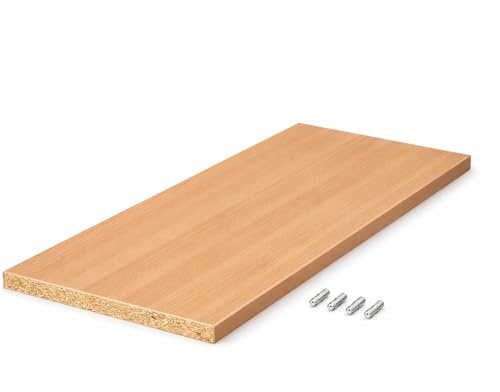 BaustoffhandelShop Einlegeboden nach Maß Dekorspanplatte 19mm mit ABS-Kante und Haltern BUCHE HELL (100x50 cm)