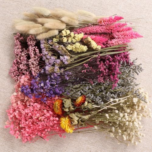 11 Kinds of Dried Flowers for Crafts Bulk DIY Natural Multi-color Wildflowers Dried Pampas Grass Lavender Forget Me Not Babys Breath with Stem Floral Arrangement Bouquets with Hemp Rope for Home Decor