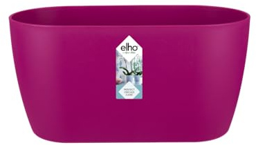 Elho Brussels Orchid Duo 25 - Vaso per Orchidee - Interno - Ø 24.8 x H 12.0 cm - Rosa/Cherry Red