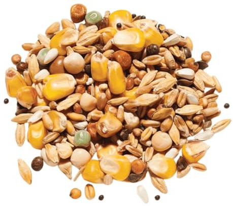 Countrywide All-Rounder Pigeon Food 20kg - High Energy & Protein Seed Mix For Pigeons - Rich In Nutritious Oils, Vitamins and Minerals - Dust Free