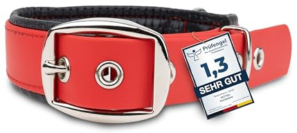 PetTec® Trioflex - Collare per Cani - Adatto per Taglie Piccole, Medie e Grandi - Collare Cane Confortevole e Resistente - Ideale per Pitbull, Bulldog Francese, Retriever - Collari per Cuccioli e Cani