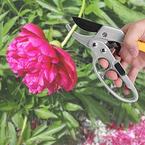 SIXRUN Tijeras de Podar, Podadoras de Jardín de Acero con Alto Contenido de Carbono con Bloqueo Seguro y Resorte Incorporado, Capacidad de Corte de 26 Mm para Ramas, Rosas, Arbustos, árboles Frutales,