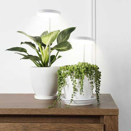 LED VERDI 10W Pflanzenlampe LED, Vollspektrum Pflanzenlicht für Zimmerpflanzen, Höhenverstellbares LED- Pflanzenwachstumslampe mit Zeitschaltuhr 8/12/16 Std (10W)