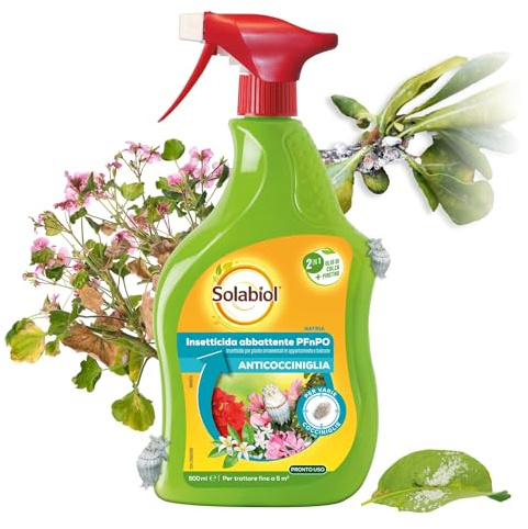 Solabiol insetticida abbattente cocciniglia, biologico 2in1 a base di piretro e olio di colza. Elimina le cocciniglie. Pronto uso 500 ml.