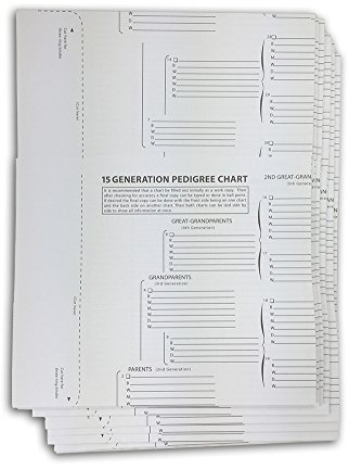 TreeSeek® 15 Generation Pedigree Chart | 10 Pack | Blank Genealogy Forms for Family History and Ancestry Work