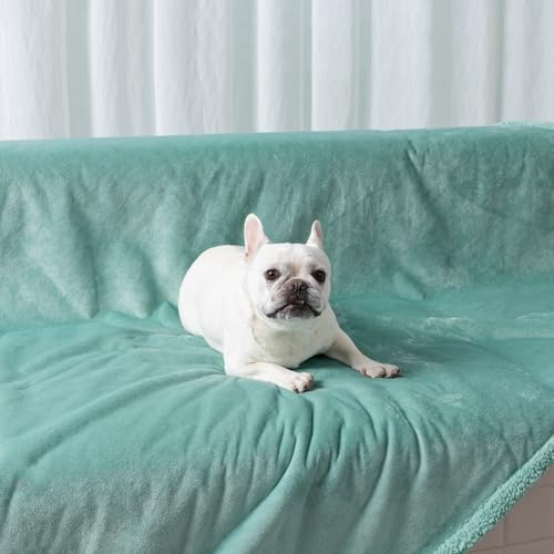 Maidewow Couverture imperméable et lavable en polaire jacquard réversible et moelleuse pour animal de compagnie – Couverture pour canapé-lit, anti-fuite, lavable, taille S (vert)