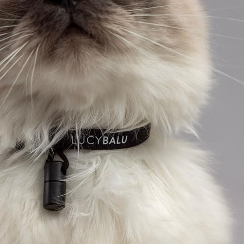LucyBalu® Willy Katzenhalsband mit Namenskapsel – Schwarz | Reißfestes Nylon-Halsband, wasserdichte Aluminium-Kapsel für Kontaktzettel, Sicherheitsverschluss