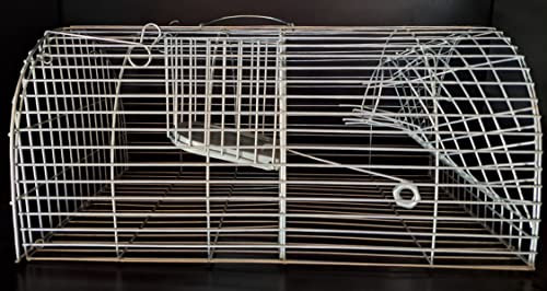 NASSE A Rats MULTIPRISES 40X23X18CM