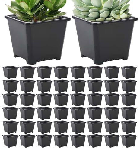 Lot de 50 pots carrés en polypropylène durables pour jardin, crèche, herbes et fleurs, idéal pour plantes vivaces et herbes aromatiques Noir