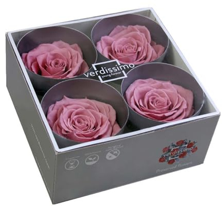 Box 2x2 Rose Stabilizzate Made in Italy - Disponibile in Diversi Colori - 4 Rose Eterne Fiori Stabilizzati - Elegante Bouquet di Fiori Veri | Idea Regalo e Decorazioni (4 Ciliegia)