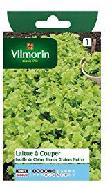 Vilmorin - Sachet graines Laitue à couper Feuille de Chêne blonde graines noires