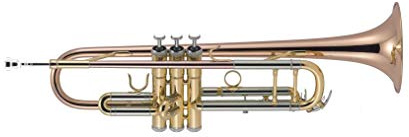 J. Michael TR450 - Trompeta en SI bemol, lacada
