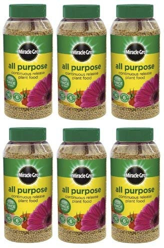 6 x Miracle-Gro Slow Continuous Release All Purpose Plant Food, 1Kg Shaker Jar