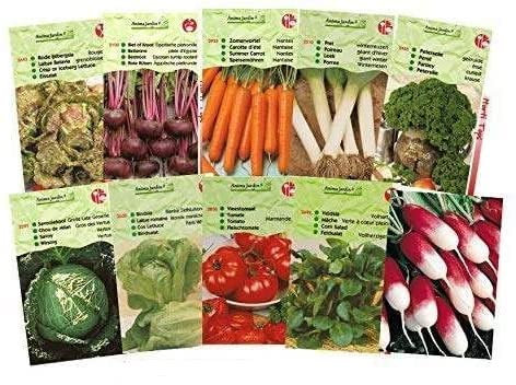 Lot 20 paquets graines légumes potager jardin ouvrier, salade, radis, tomate, carotte, poireau, pas cher, économique