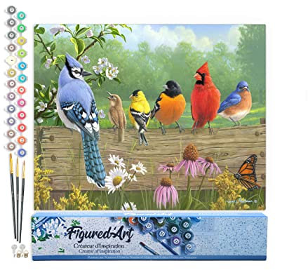 Figured'Art Peinture par Numéro Adulte Oiseaux sur la barrière - Activité Manuelle Kit de Loisir Créatif DIY Numéro d'Art Complet - 40x50cm sans châssis en bois